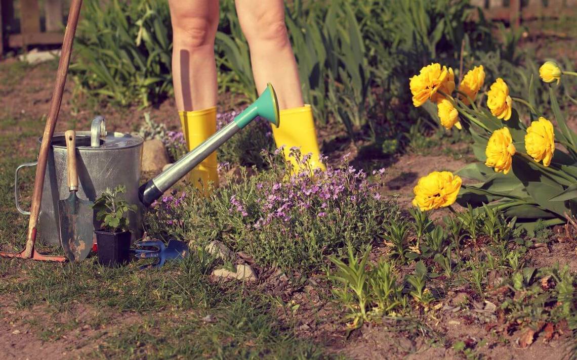 Jardinería Al Desnudo Una Festividad Poco Convencional Diario Del